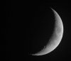CRW_1664_smaller.jpg