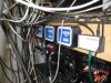 Ocelot_1_wire_640.jpg