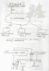 schema.jpg