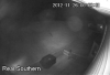 Pic_20121128081528_1001_3.png