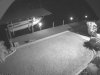 Bobcat on dock.jpg