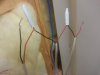 wiring-1.jpg