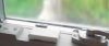 Window.jpg