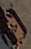 optex-combo.jpg
