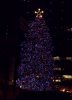 ChicagoChristmasTree2014.jpg
