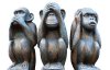 monkeys.jpg
