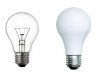 bulbs.jpg
