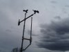1637-MyWeatherStation.jpg