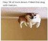 image007.gif
