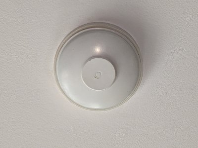 PXL_20230413_212122032.jpg
