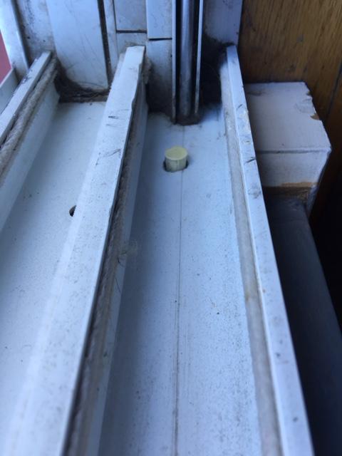 IMG 1734