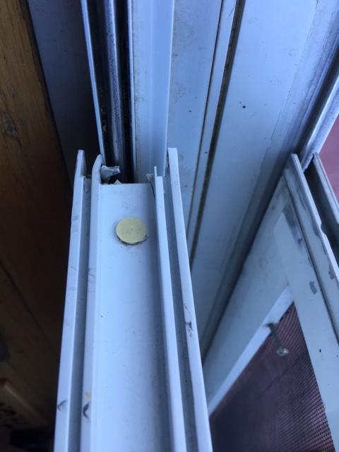 IMG 1735
