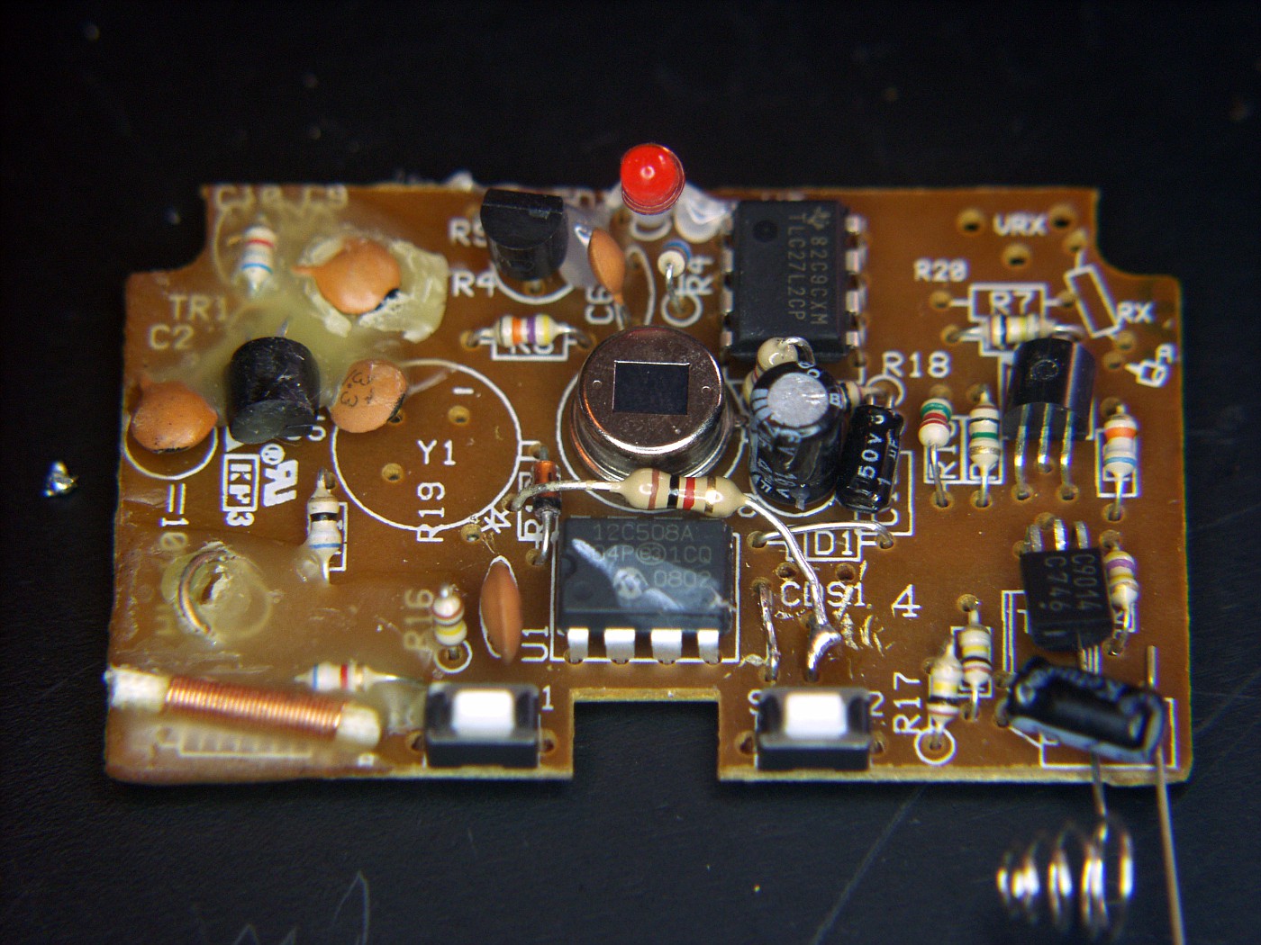 PB081886-vi.jpg